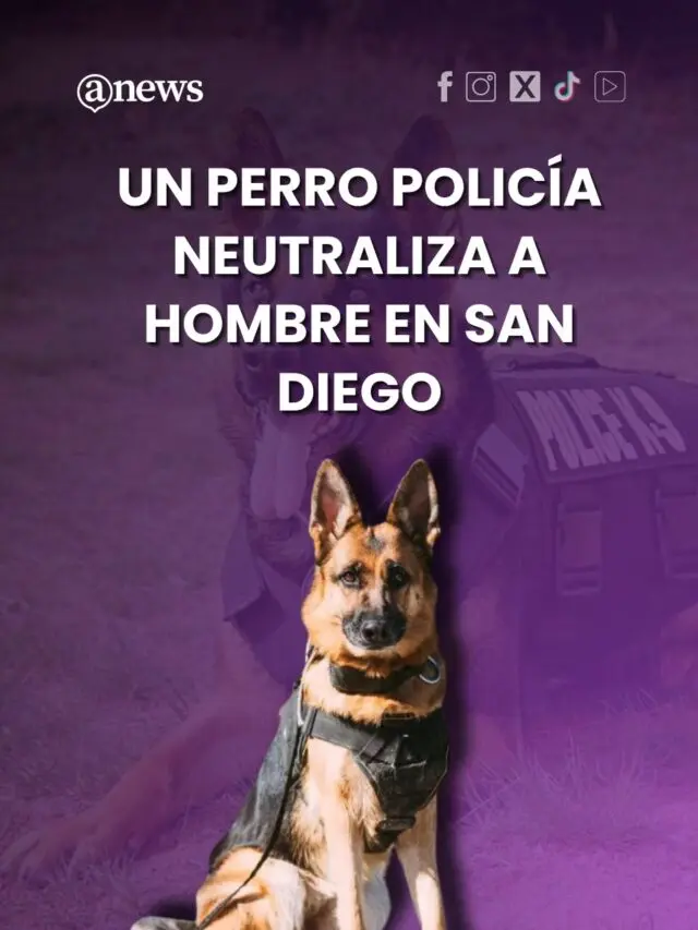 Un perro policía neutraliza a hombre en San Diego