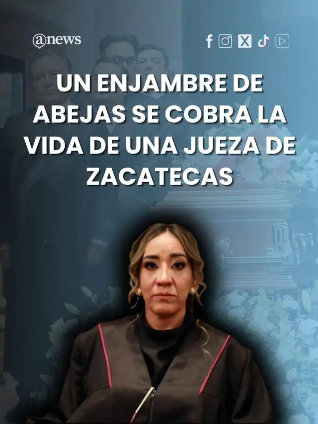 Un enjambre de abejas se cobra la vida de una jueza de Zacatecas
