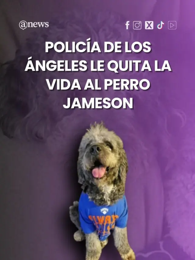 Policía de Los Ángeles le dispara al perro Jamason