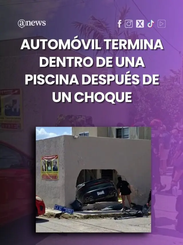 ¡Se fue directo al chapuzón!